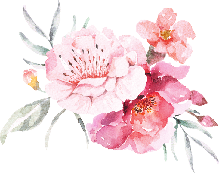 Peonies Watercolor Illustration